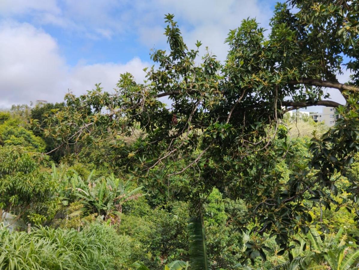 Apartamento Cercado Por Natureza E Diversao Maceió Exterior foto